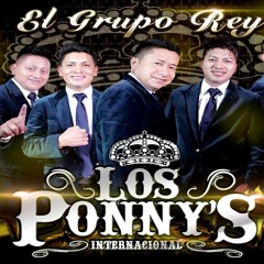 CHICHA LOS PONNYS 2017 MESCLAS DJ CHILE