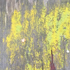 Halflife (aka fuck leukemia)