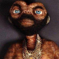 Man On the Moon -Darc Feather