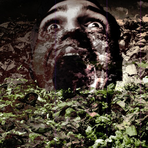 Tim Tama - A Faint Taste Of Blood In The Mouth