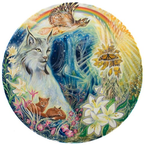 Vem meu Santinho CCC