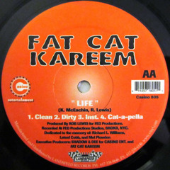 Fat Cat Kareem - Life (MaxOne Remix)
