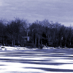 Abstract Life [free d/L]