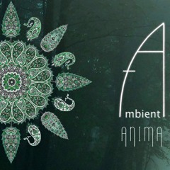 Anima Festival 2016 - Matti & Moji Go Ambient