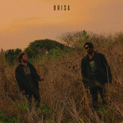 Brisa
