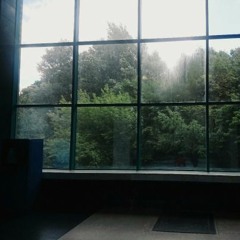 rainy day