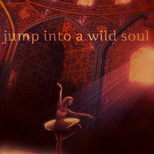 jump into a wild soul