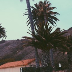 we can only go up from here