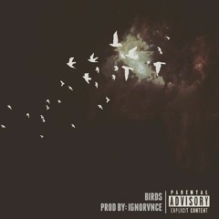 Birds (prod. Ignorvnce)