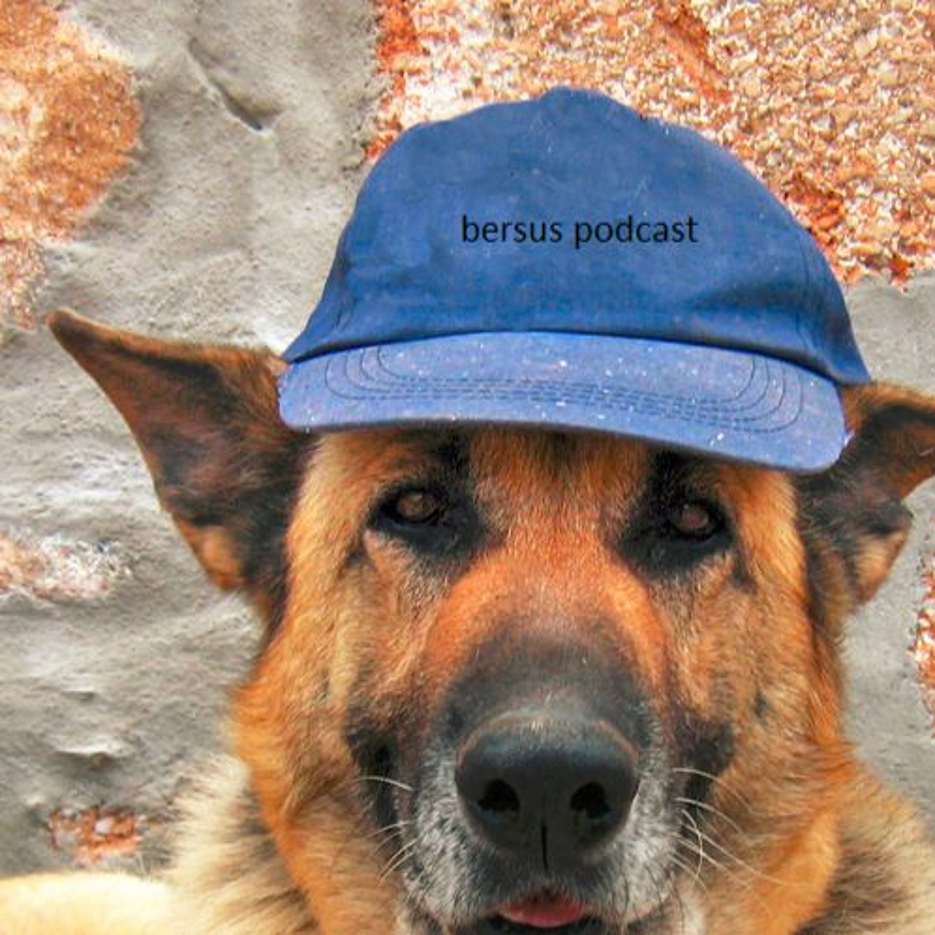 Bersus Podcast Episode 2: Musicals vs Fictional Talking Animals episode artwork