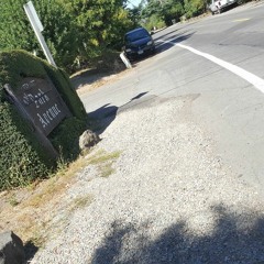 We The People ft. Young Cortez [Bravestarr Prod]