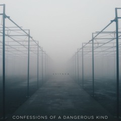 Confessions Of A Dangerous Kind