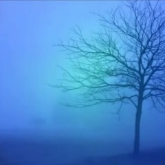 كتلة الألم/ايكهارت تول(قراءة من كتاب ارض جديدة)