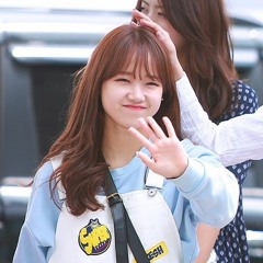 노래