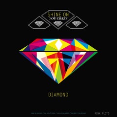Intro "Shine On You Crazy Diamond"