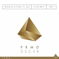 Namaste & Tinker ft. Ray - "Cried Wolf" (PRMD DSCVR)