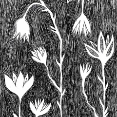 Salonkikelpoinen humala