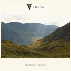 Tom Frankel - Epiphany (Original Mix)