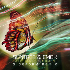 Suntree & Emok - Catching The Moment (Sideform RMX) (Sample)