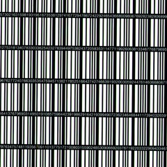 Ryoji Ikeda - data.reflex (Flown Rewiring)