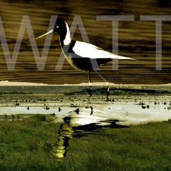 Watt DF Sound System "S/S 2016"