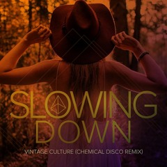 Vintage Culture - Slowing Down (Chemical Disco Remix) FREE DL