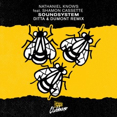 Nathaniel Knows - Soundsystem feat. Shamon Cassette (Ditta & Dumont Remix)