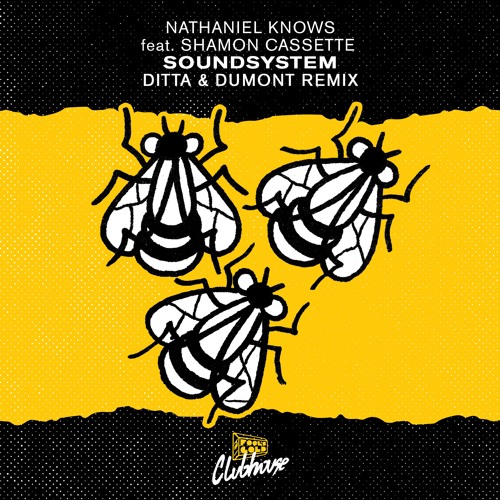 Nathaniel Knows - Soundsystem feat. Shamon Cassette (Ditta & Dumont Remix)