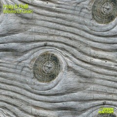 Haig & Raffi - Waves Of Grain (Blufeld's Progenitor Remix)