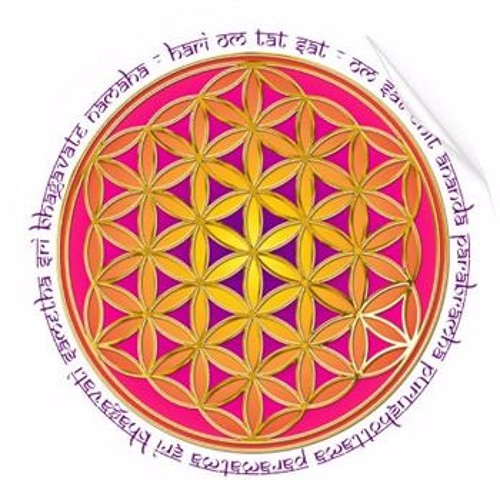 Moola Mantra - released by Goa Records