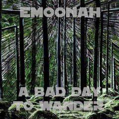 A Bad Day To Wander