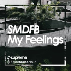 SMDFB - My Feeling