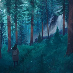 Neutral Milk Hotel Philly 1/29/2014