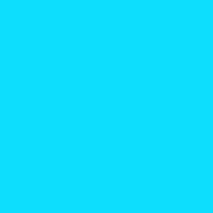 Indie Dance/Nu Disco