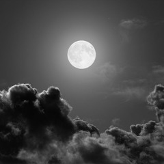 DARK BEAUTY (short Version)