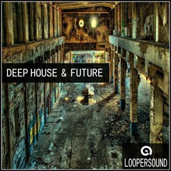Deep House and Future - Demo  (Sample Pack)