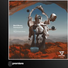 Premiere: Black Blooms - Downtown (Miguel Puente Remix)(Union Jack Records)
