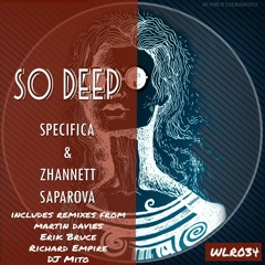 Specifica - Tatanka (Erik's Memories Of Lakota Remix)