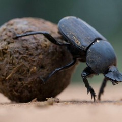 Omuenge4