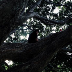 Forgranted (Instrumental)