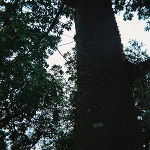 DJ Seinfeld Presents: Fyodor The Dj - Big Tree House