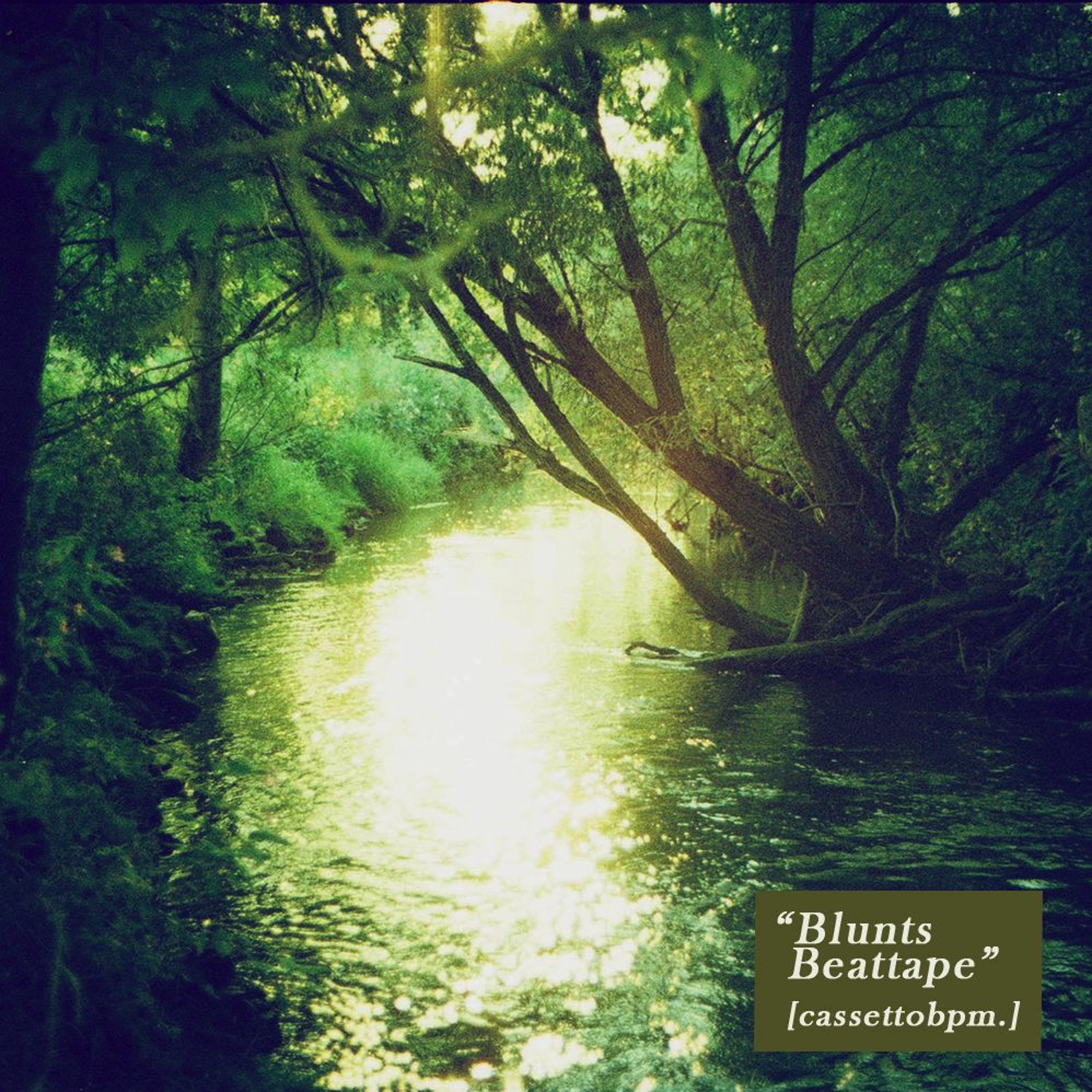 [cassettobpm.] - "Blunts Beattape" [Snippet] episode artwork