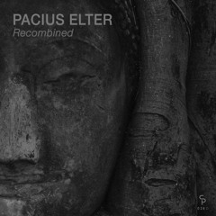 Pacius Elter - Recombined EP (COUNTER PULSE) Preview