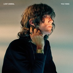Lost Animal - Too Late To Die Young