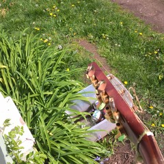 Rivers And Roads (Anna)