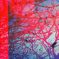 october (prod. bitchnixon)