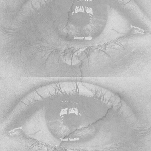 Conclusion (Re-Prod. By Mr. Anderson)