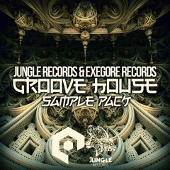 JUNGLE Records & Exegore Records: Groove House Sample Pack, Vol. 1 [BUY X FREE DOWNLOAD!!]