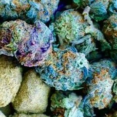 The Reproduction mix..