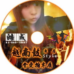 DJ 皓成 皓式18667 越南鼓夜店風(金愛拍專屬)